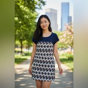 Banana republic factory shift dress size 2